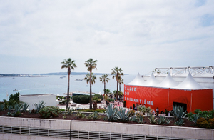 Plâtrier plaquiste Cannes